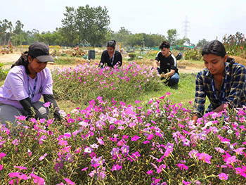 LPU Therapeutic garden 