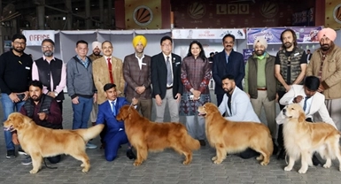 Labrador & Golden Retriever Specialty Dog Show LPU