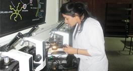 libraries-laboratories