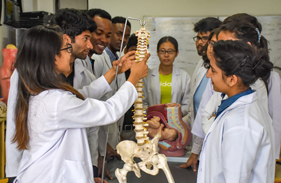 libraries-laboratories