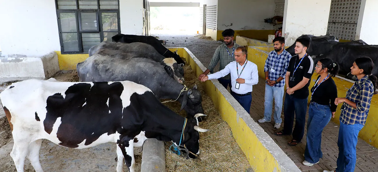 Agriculture Dairy Unit LPU