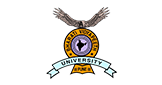 Bharati Vidyapeeth University